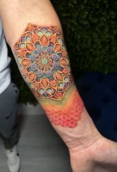 IMG_6230