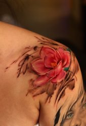 IMG_8535
